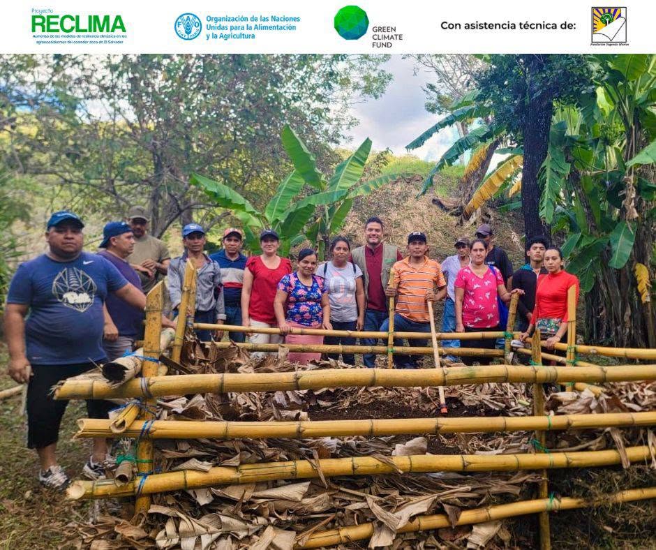 CONSTRUYENDO UN FUTURO MÁS VERDE